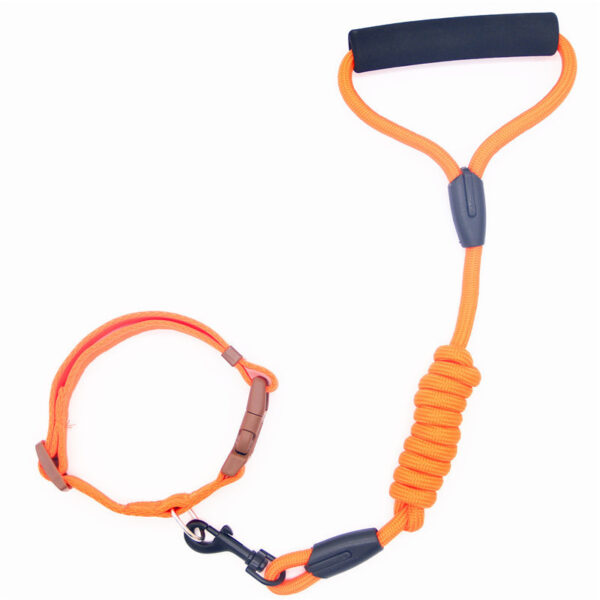 Pet Leash Dog Collar, Dog Leash, Dog Chain - Image 3