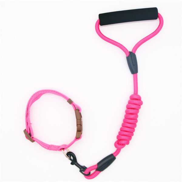 Pet Leash Dog Collar, Dog Leash, Dog Chain - Image 7