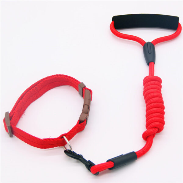Pet Leash Dog Collar, Dog Leash, Dog Chain - Image 5